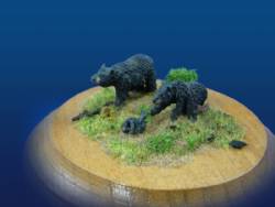 Black Bear (3)